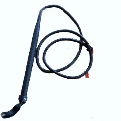 Roi da phụ kiện tình dục BDSM