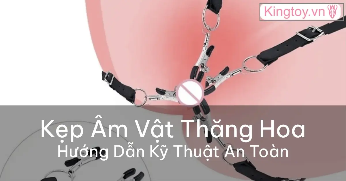 Hướng dẫn cách dùng kẹp âm vật an toàn và hiệu quả