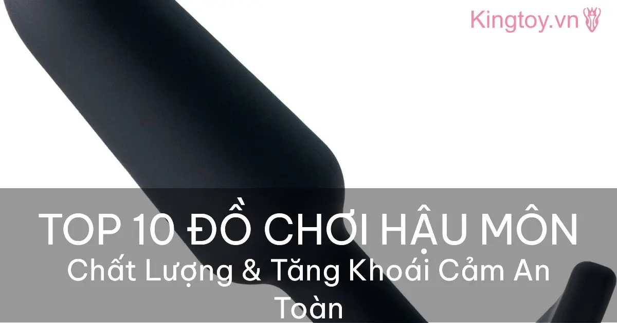 Top 10 đồ chơi hậu môn chất lượng nhất hiện nay