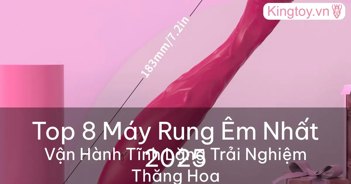 Top 8 Máy Rung Êm Nhất Tại Kingtoy 2025 - Đánh Giá & So Sánh Top 8 máy rung êm nhất vận hành siêu tĩnh lặng tại Kingtoy 2025
